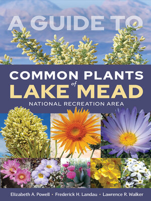 cover image of A Guide to Common Plants of Lake Mead National Recreation Area